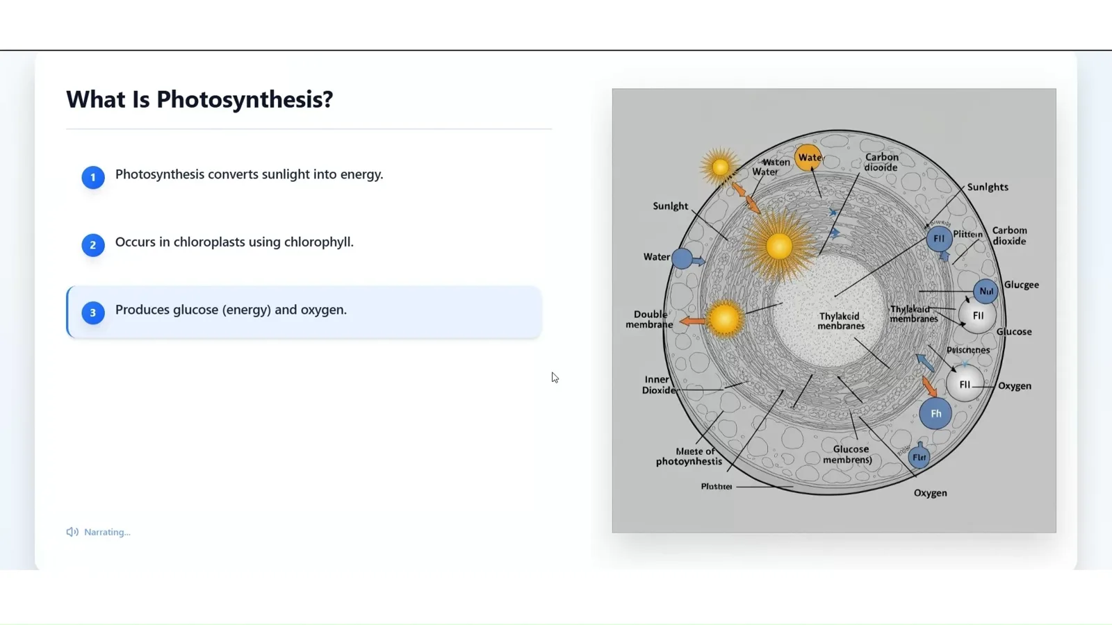 Generated photosynthesis tutorial combining narrated learning points with a supporting scientific diagram